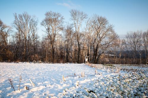 Wiese und Jägerstand im Schnee